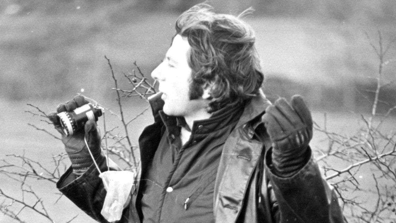 Backdrop for Roman by Polanski