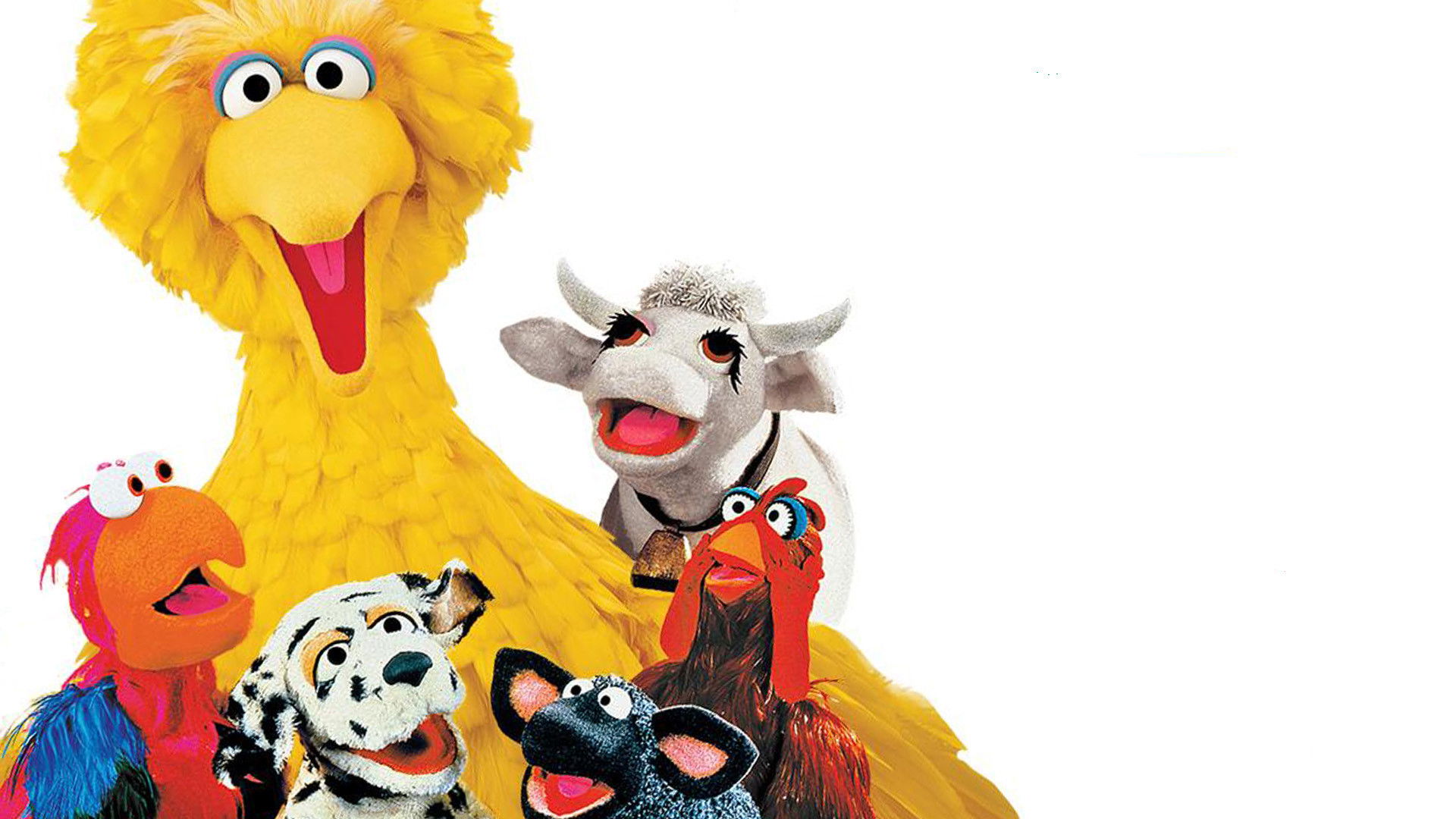 Backdrop for Sesame Street: Sing, Hoot & Howl with the Sesame Street Animals