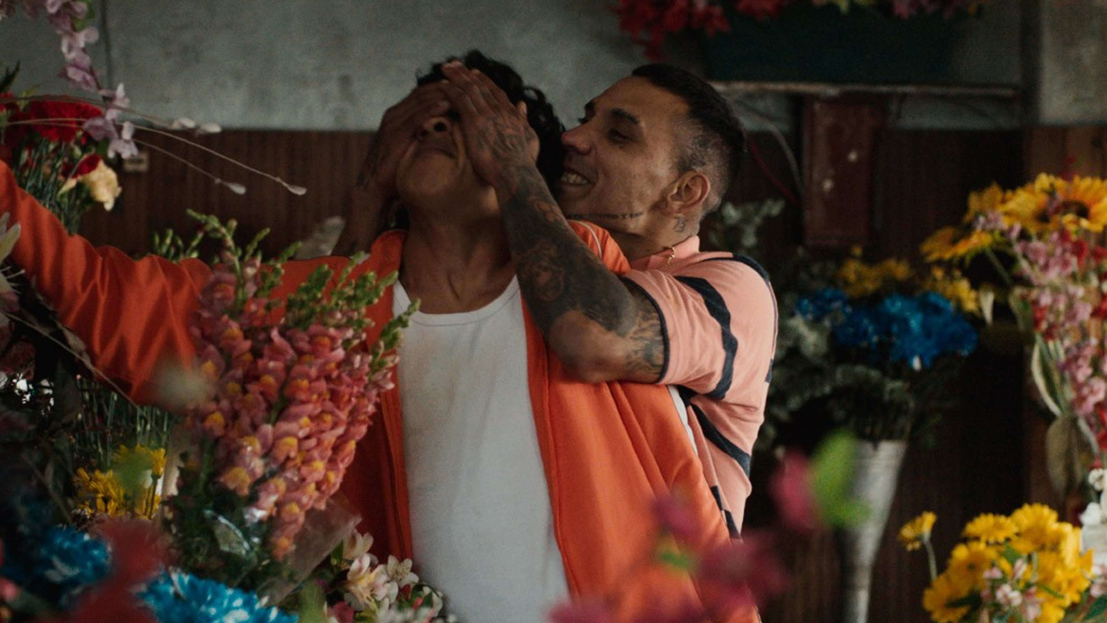 Backdrop for Stay Still or I'll Love You