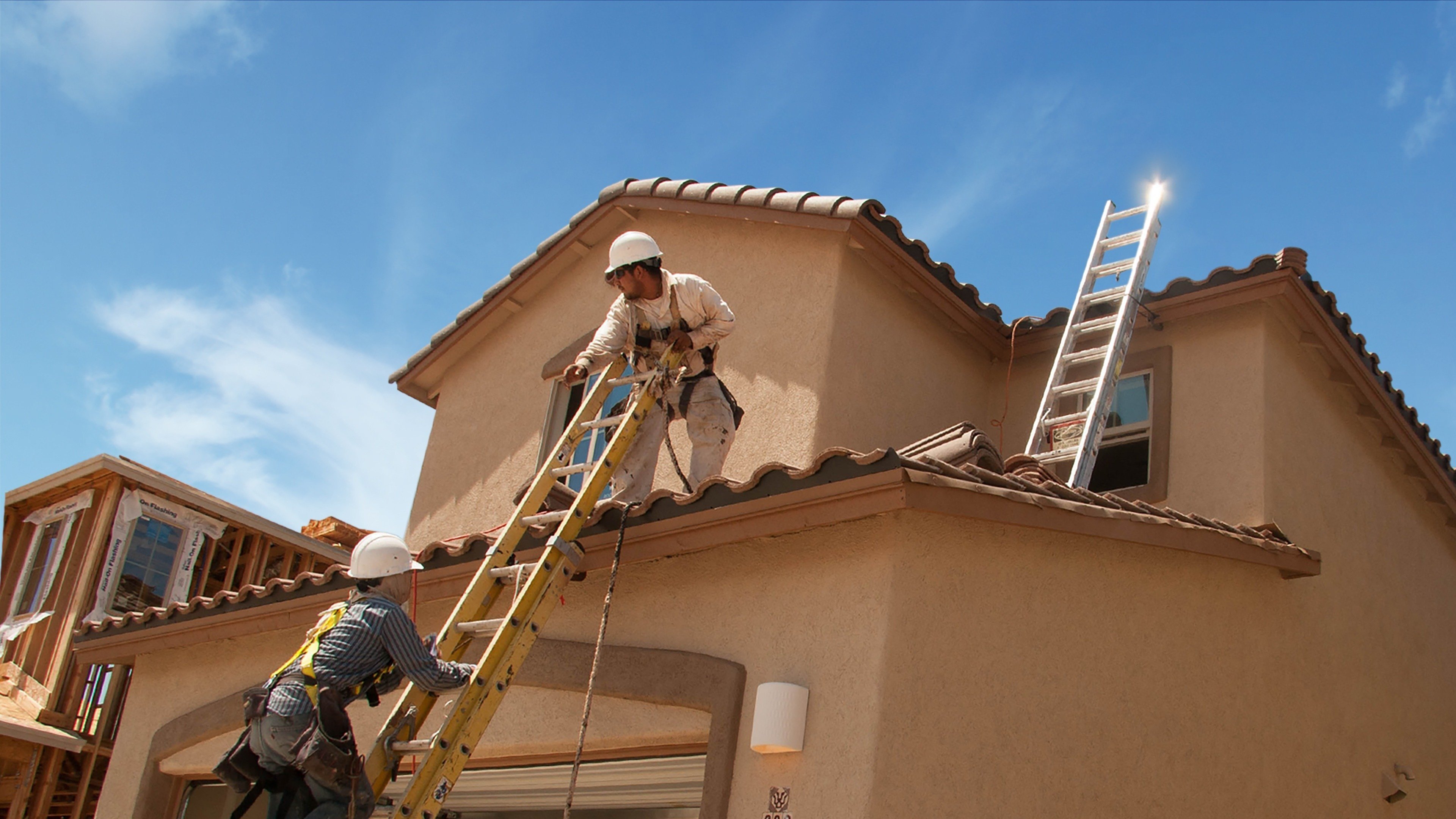 Backdrop for Nick Knowles: Original Home Restoration