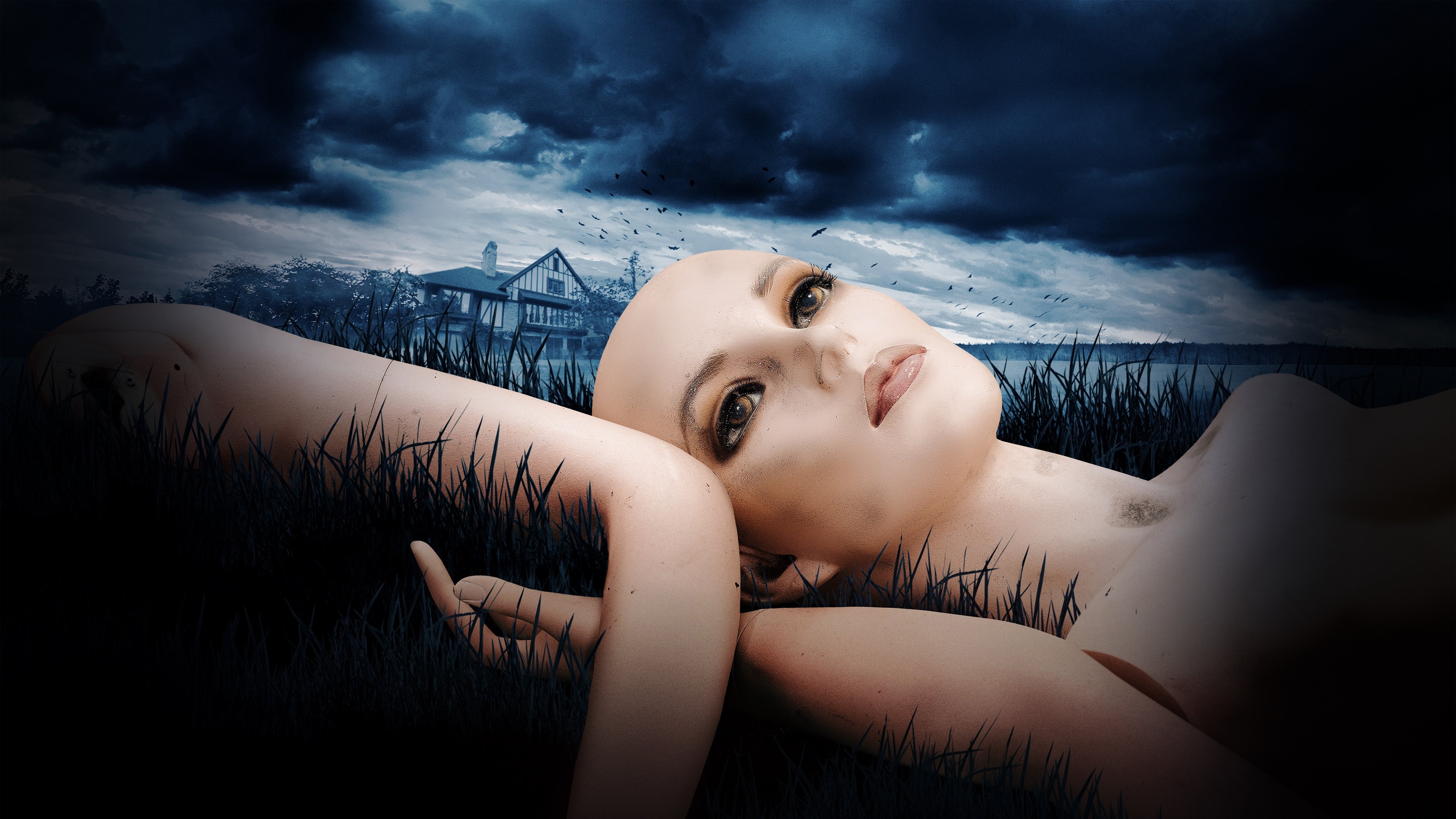 Backdrop for The Fox Hollow Murders: Playground of a Serial Killer