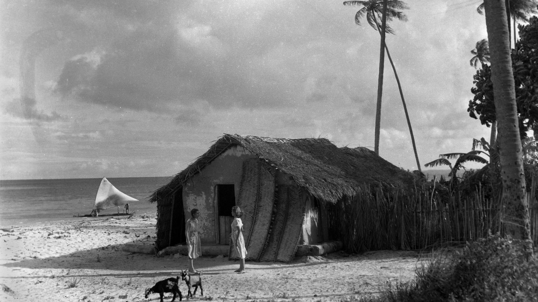 Backdrop for Song of the Sea
