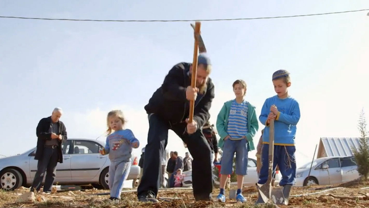 Backdrop for The Settlers