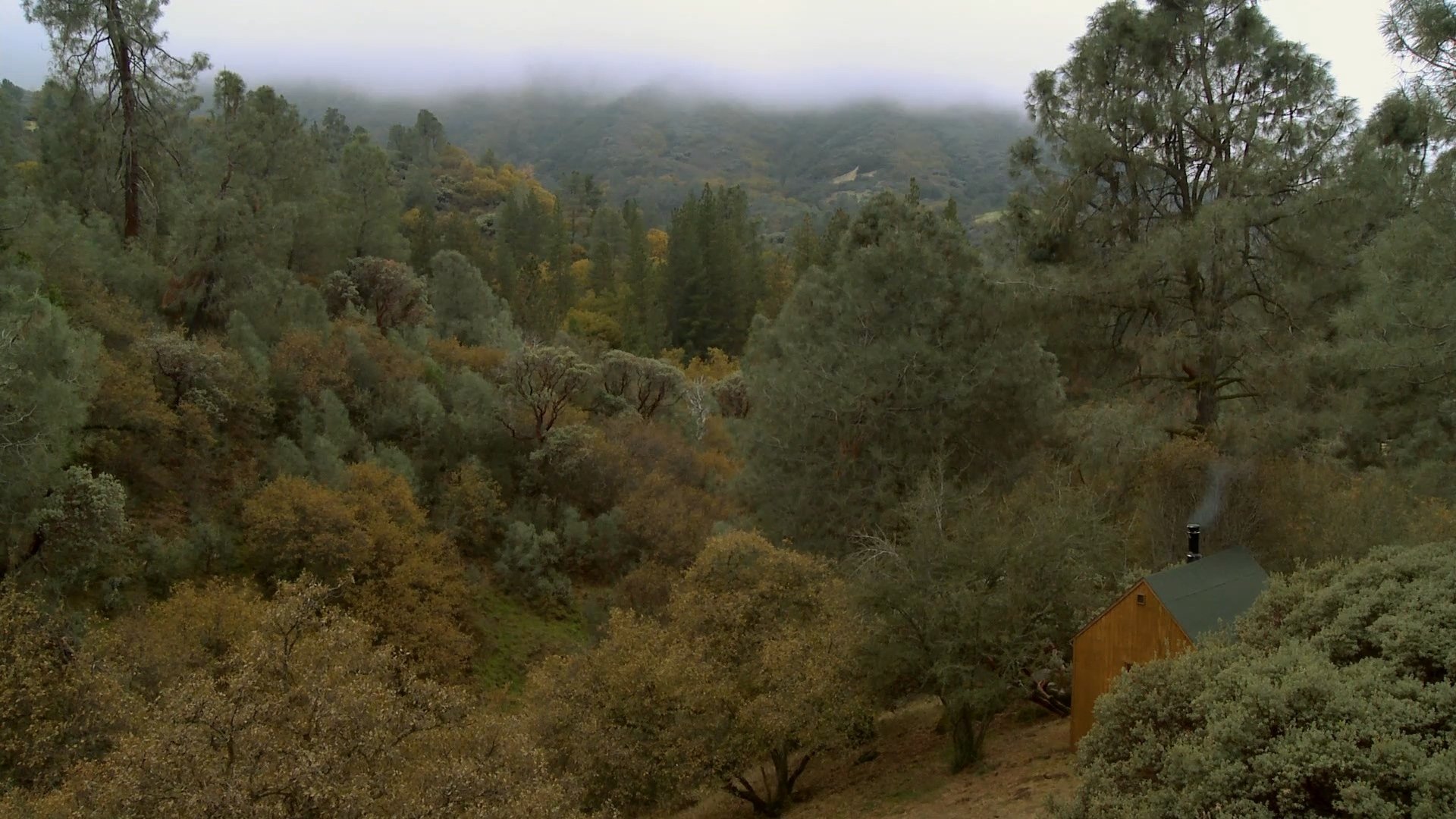 Backdrop for Stemple Pass