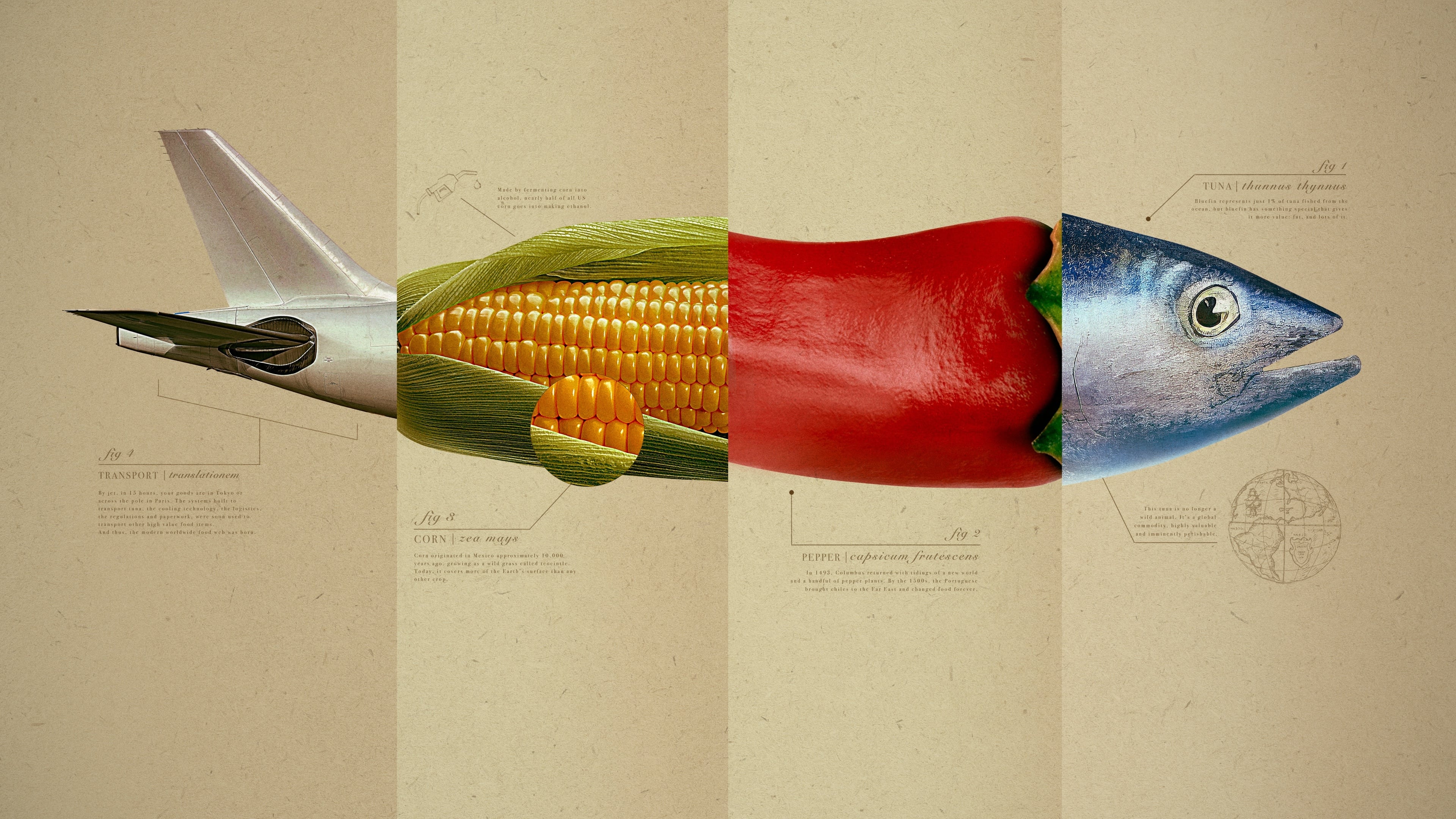 Backdrop for Omnivore