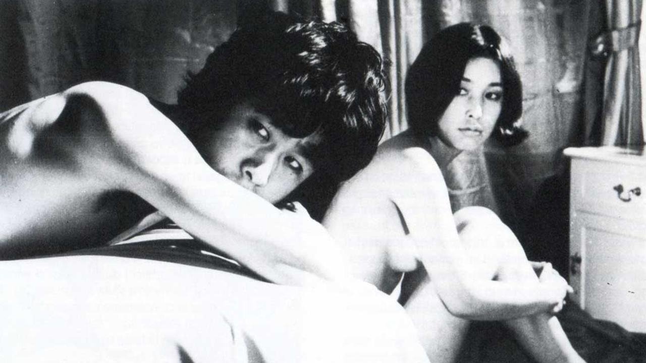 Backdrop for Diary of a Shinjuku Thief