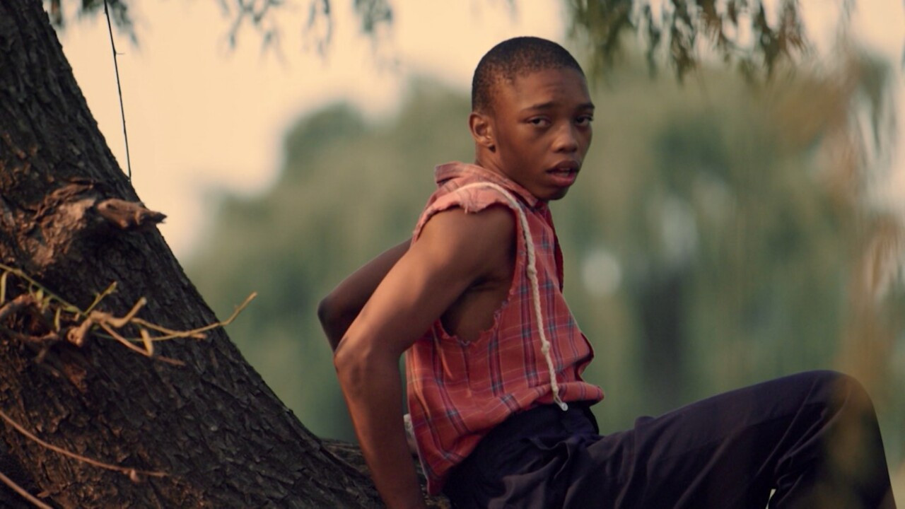 Backdrop for Mkhonto