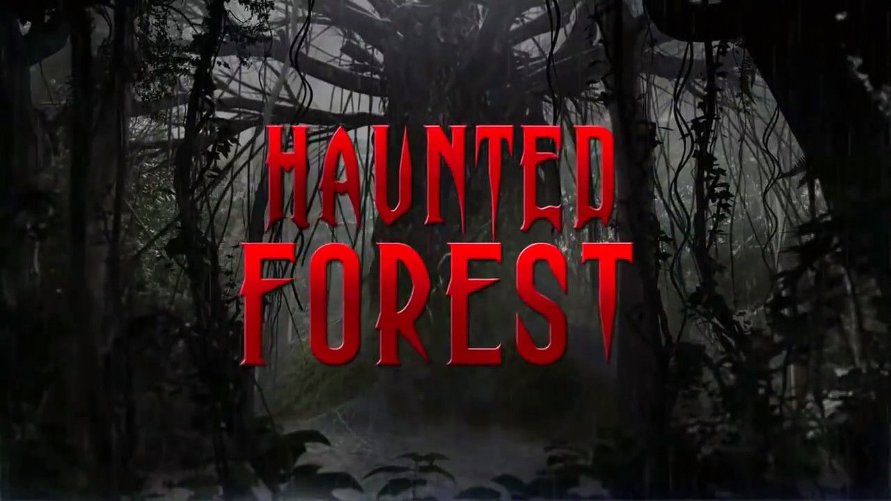 Backdrop for Haunted Forest