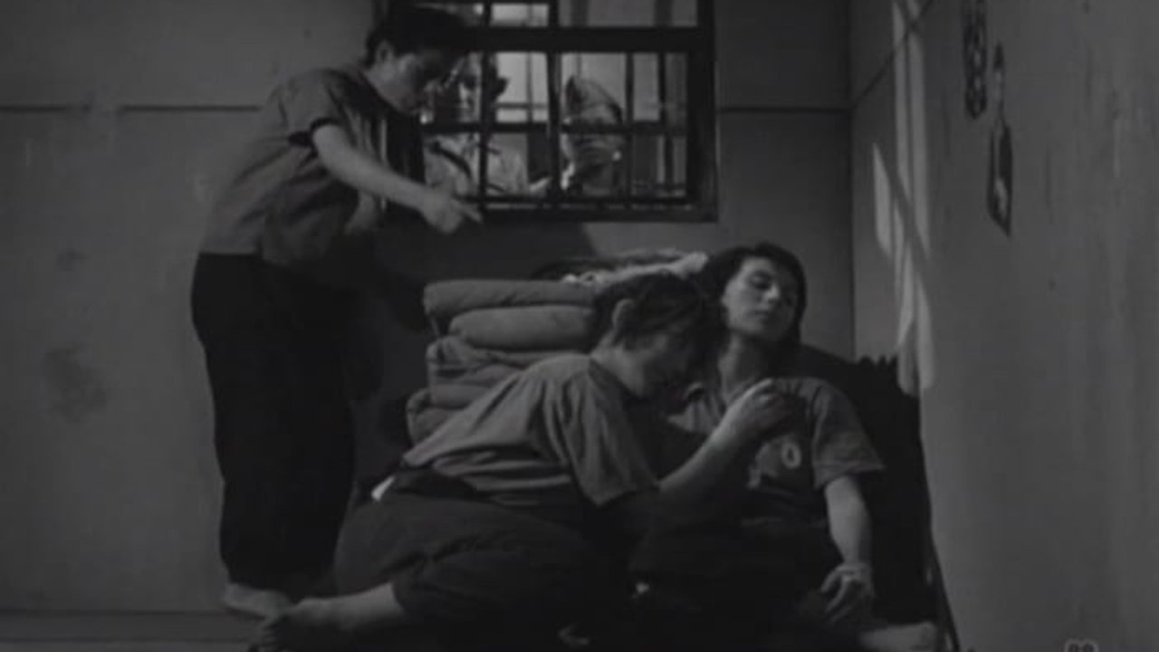 Backdrop for Women in Prison