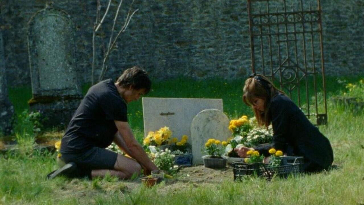 Backdrop for Anapidae (Call Me)