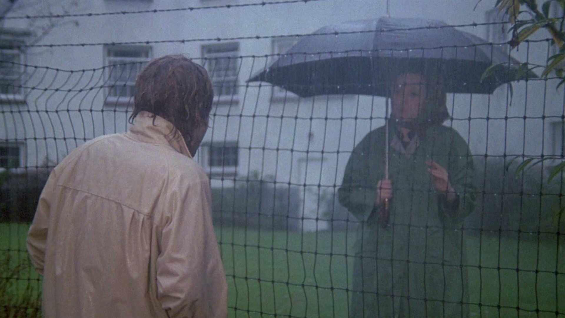 Backdrop for That Cold Day in the Park