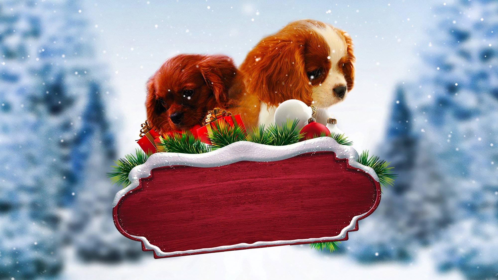 Backdrop for Project: Puppies for Christmas