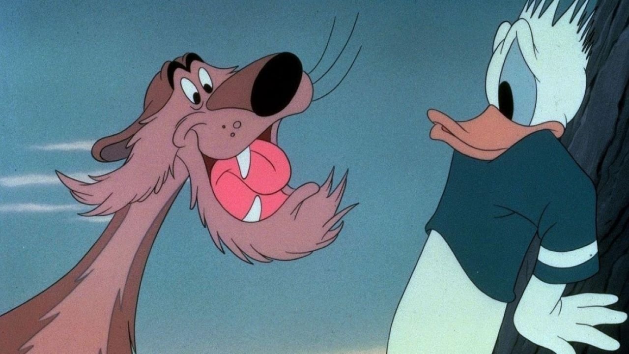 Backdrop for Lion Around