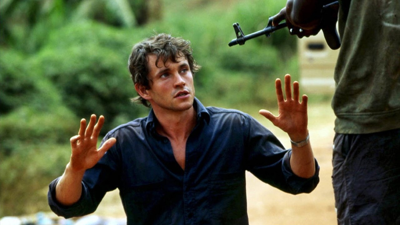 Backdrop for Shooting Dogs