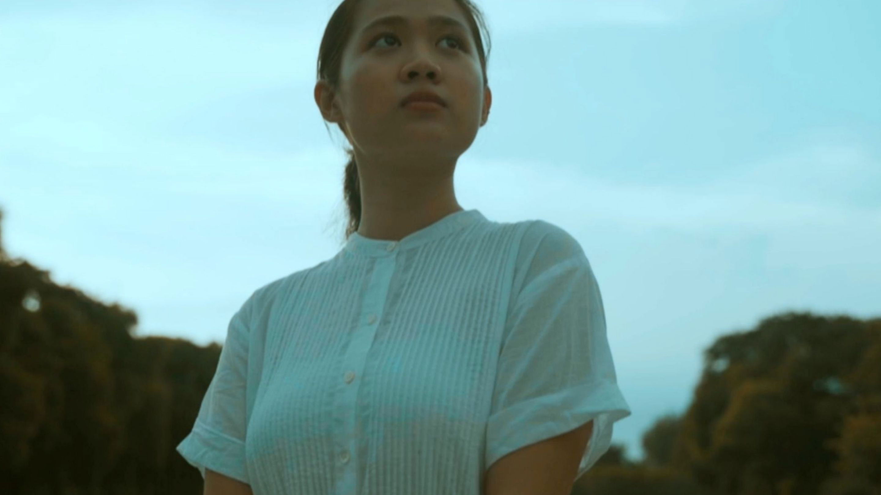 Backdrop for The Silent Words of a White Bird