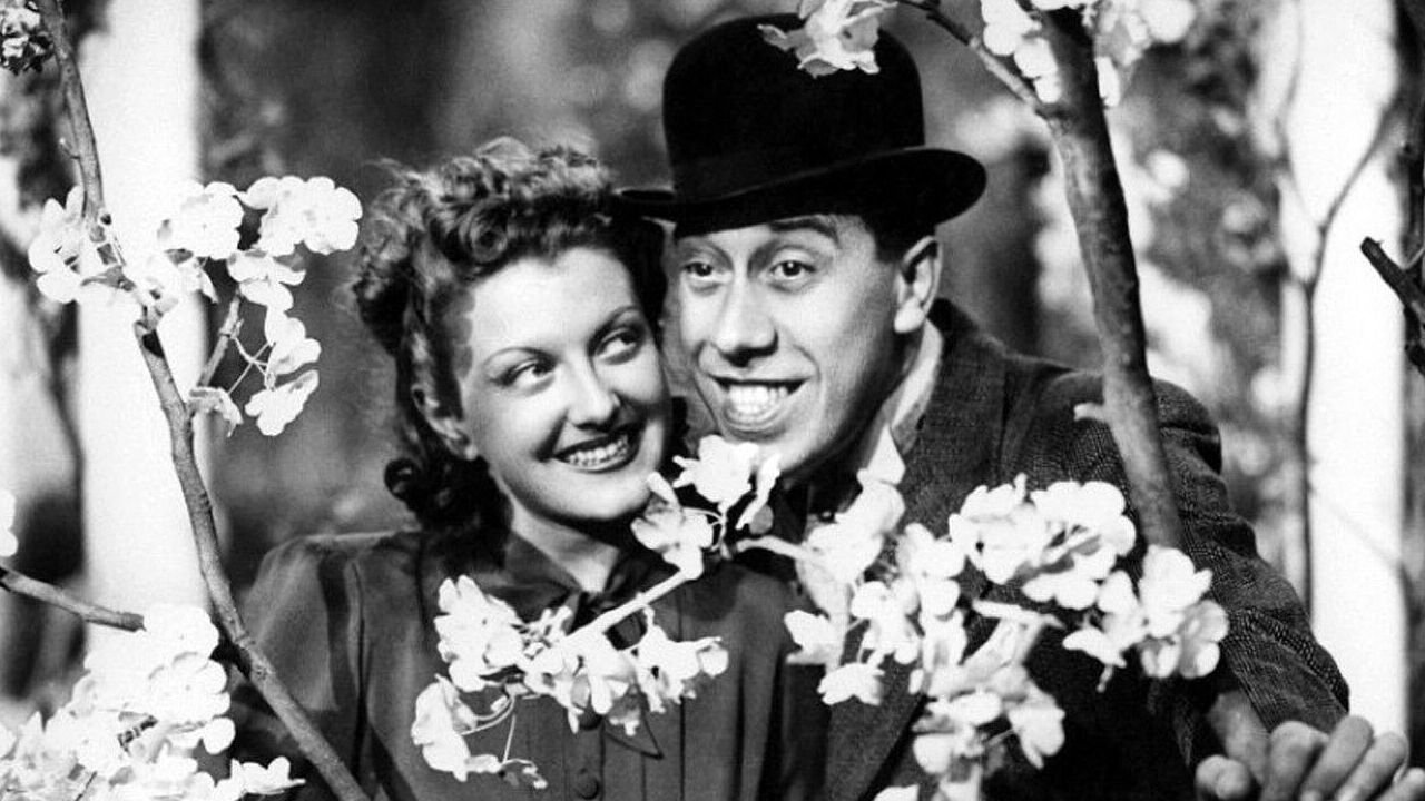 Backdrop for Barnabé