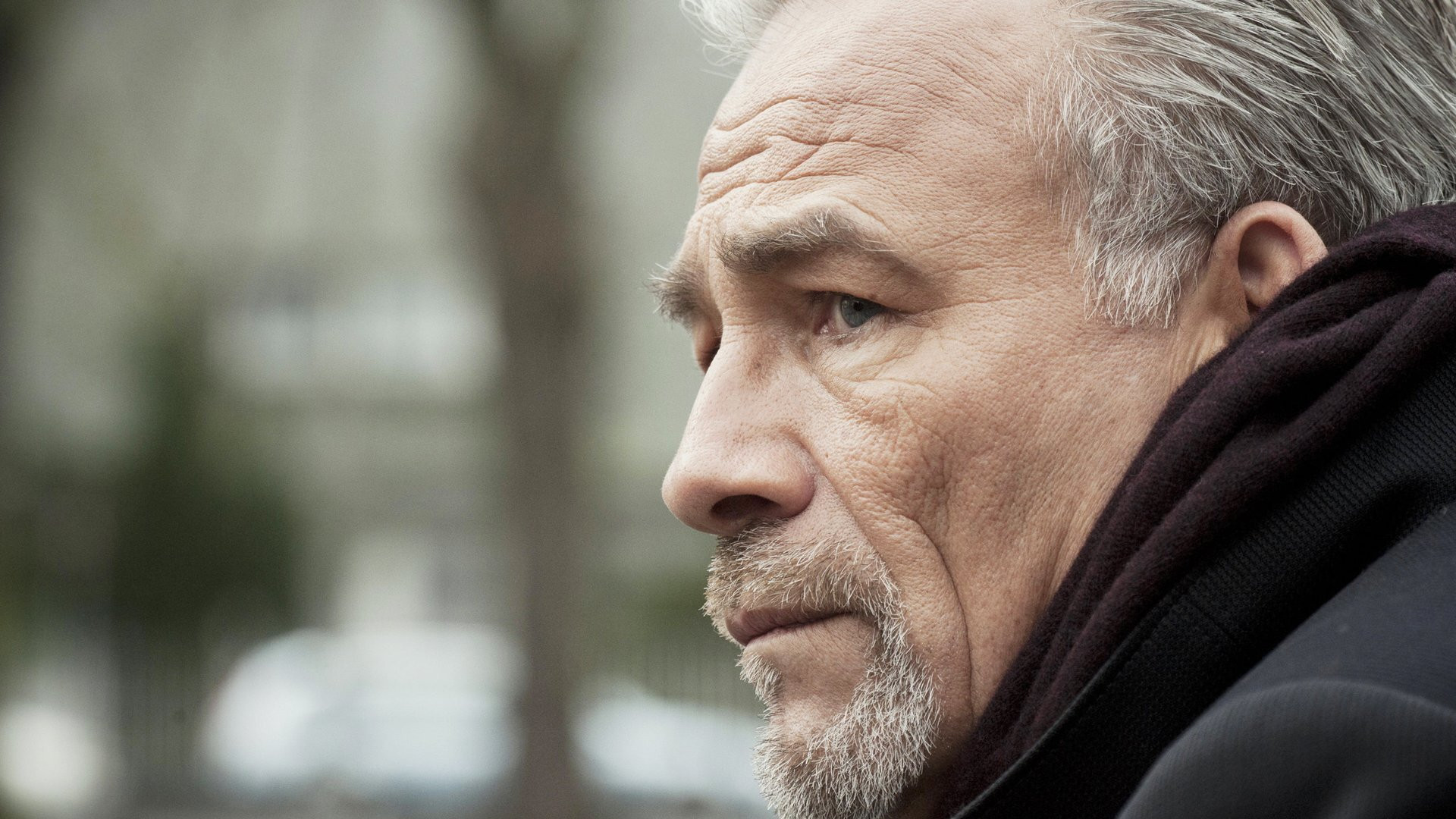 Backdrop for Jahr des Drachen