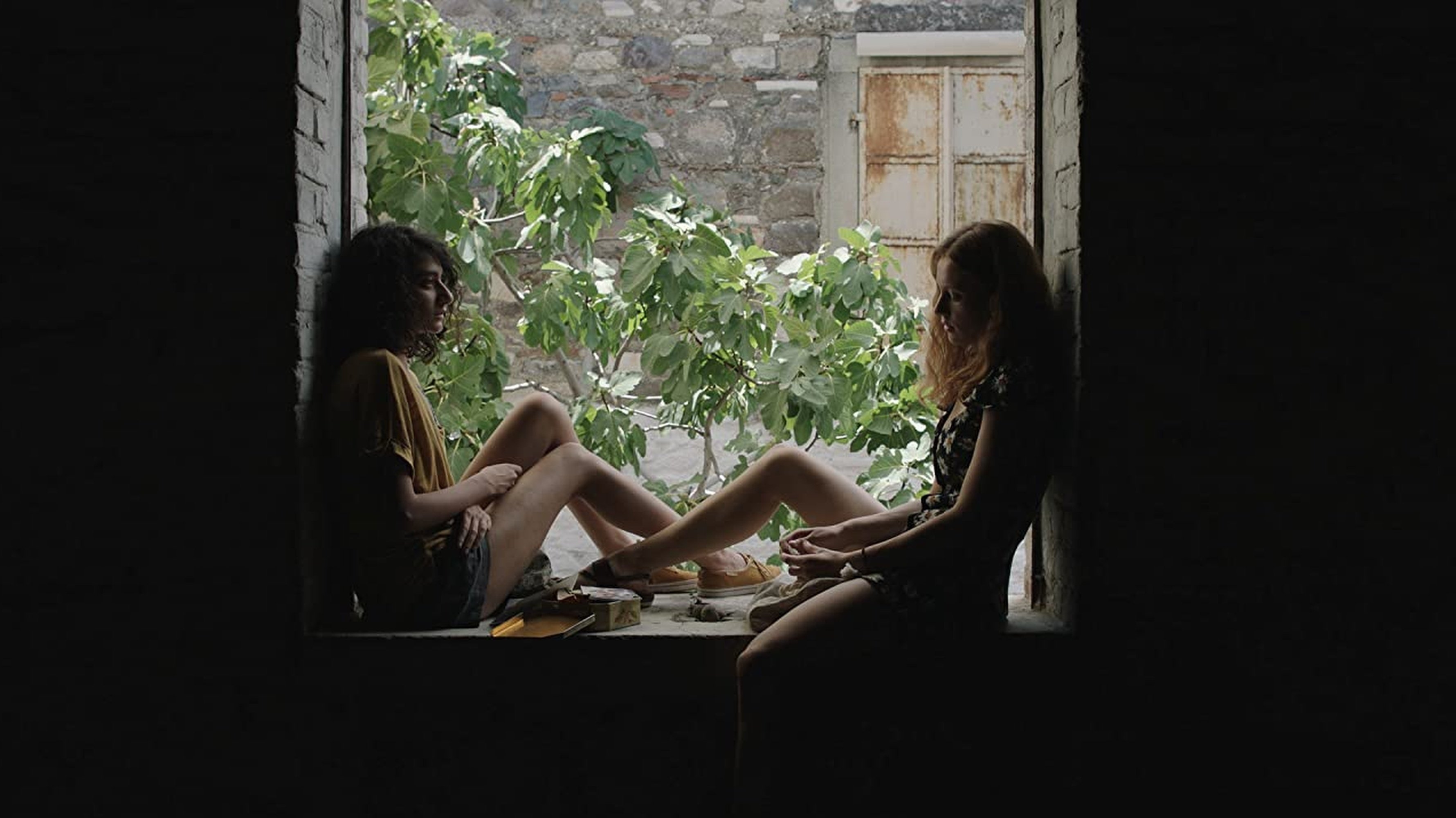 Backdrop for Geranium