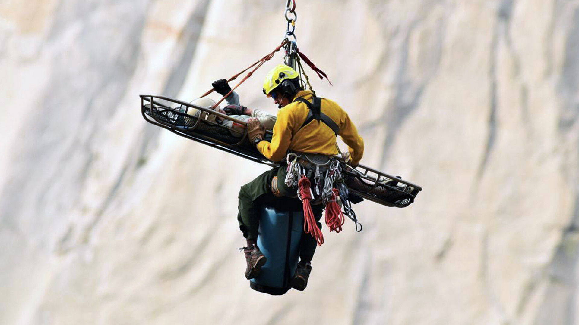 Backdrop for An Accidental Life