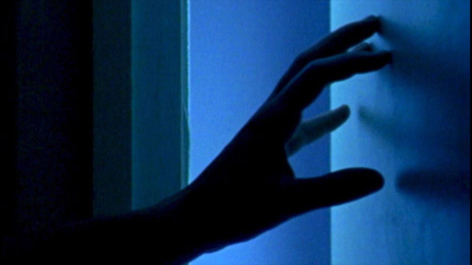 Backdrop for White Light