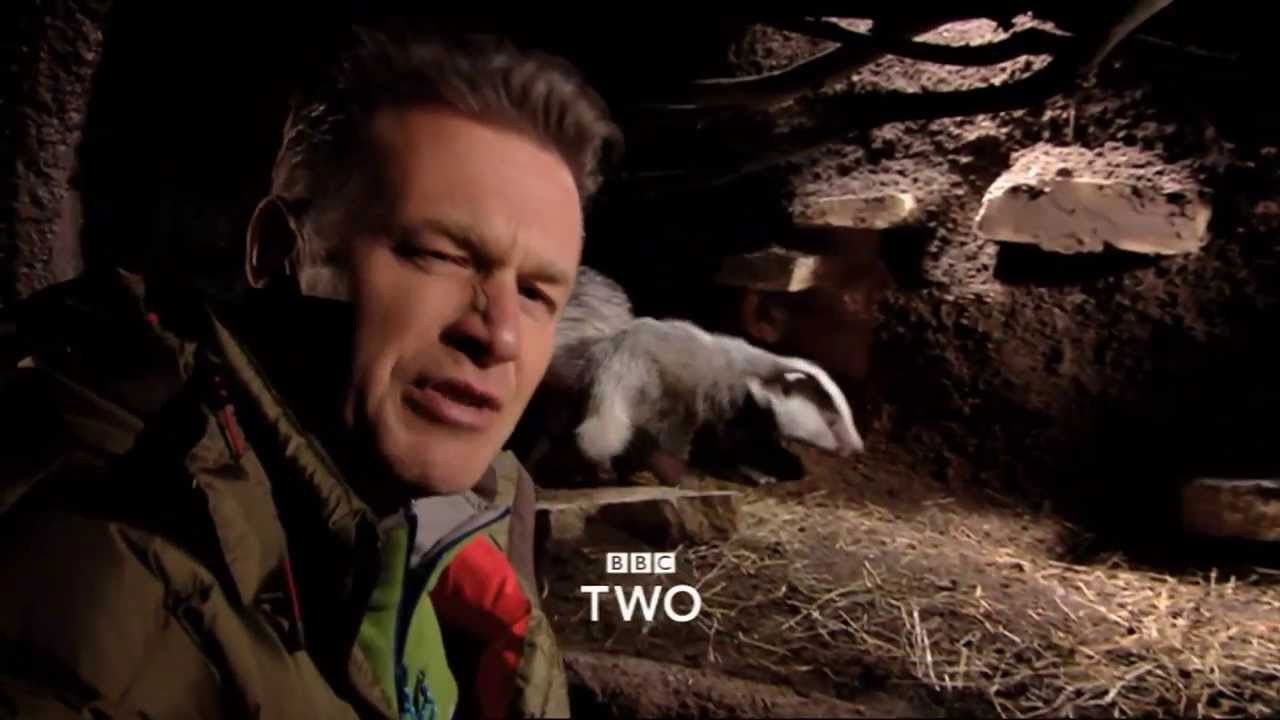 Backdrop for The Burrowers