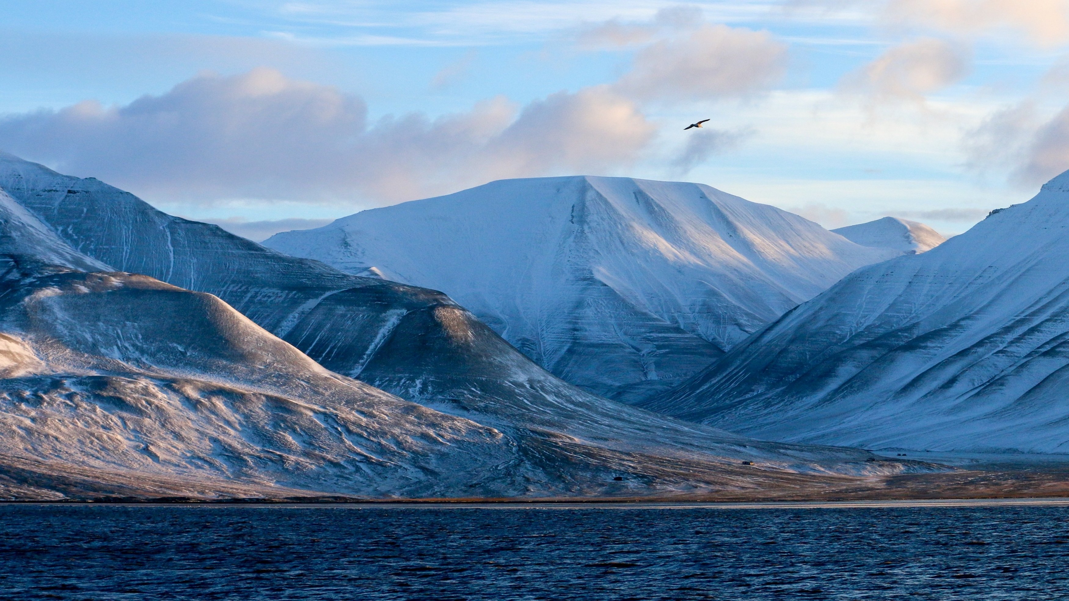 Backdrop for Na vlastní nohy