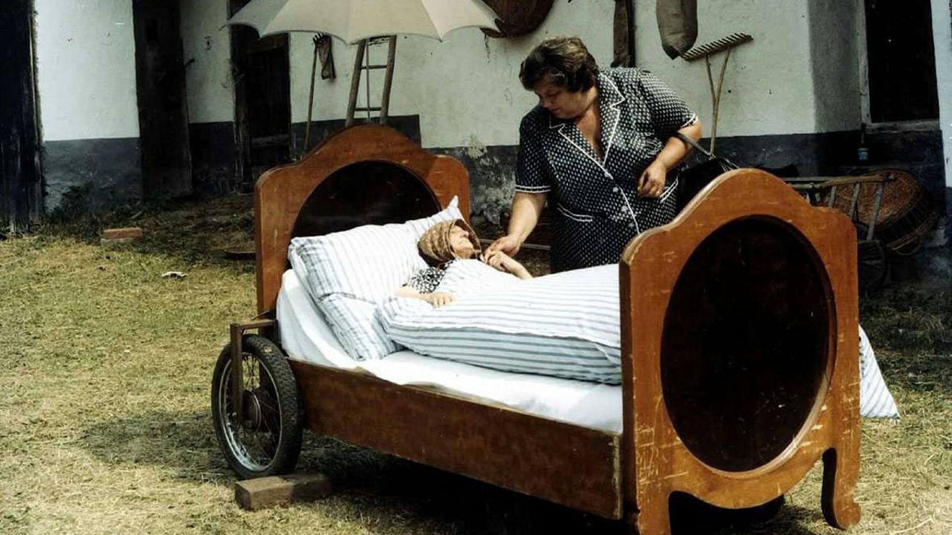 Backdrop for Sun, Hay, Berries
