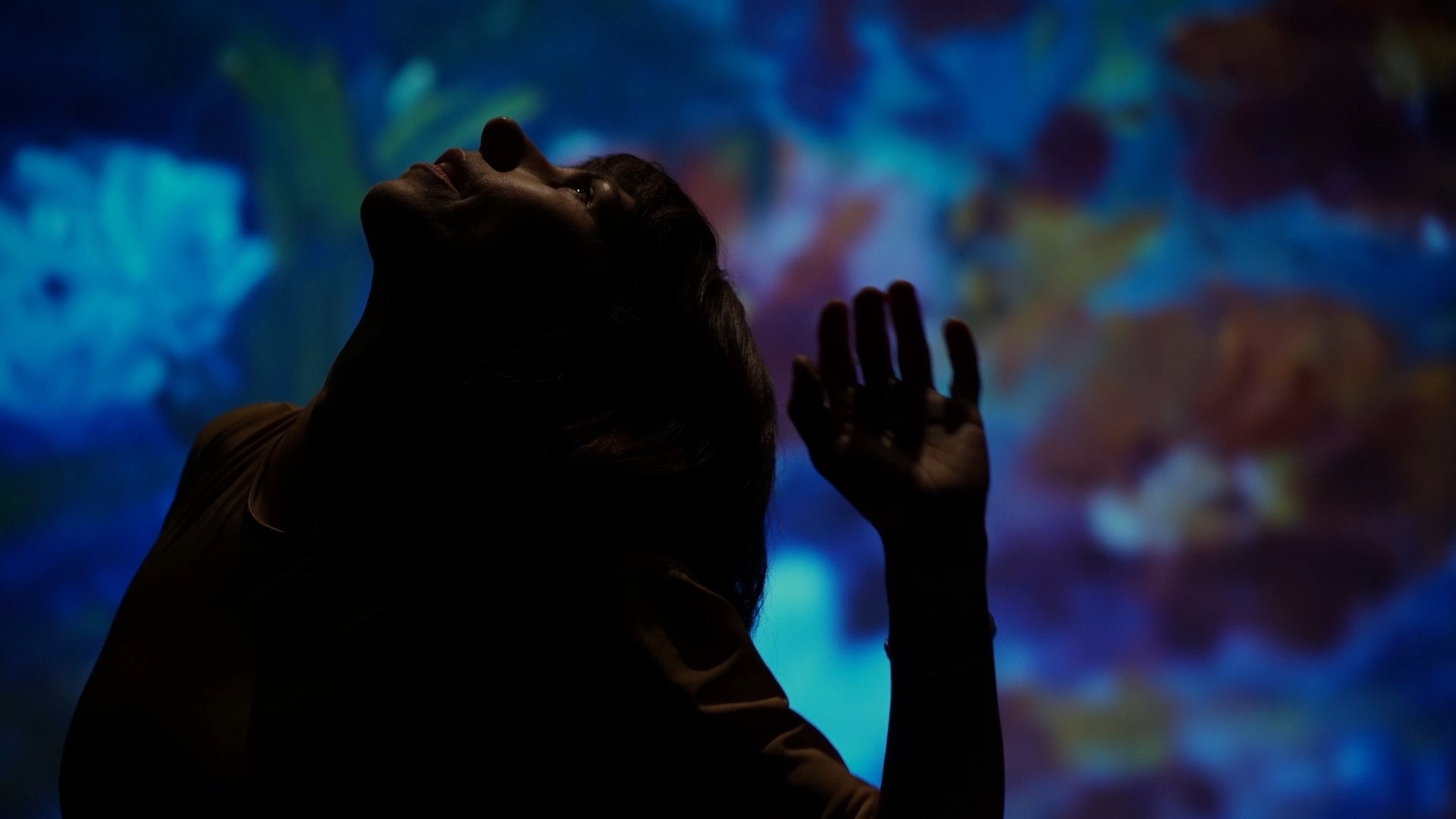 Backdrop for Still Nature