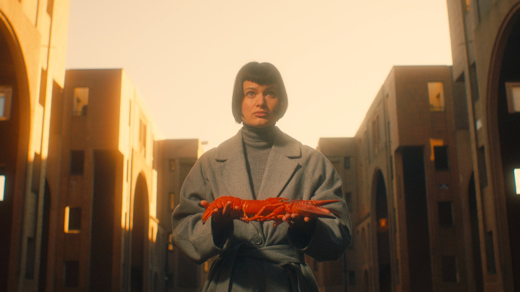 Backdrop for Nourrir les cygnes