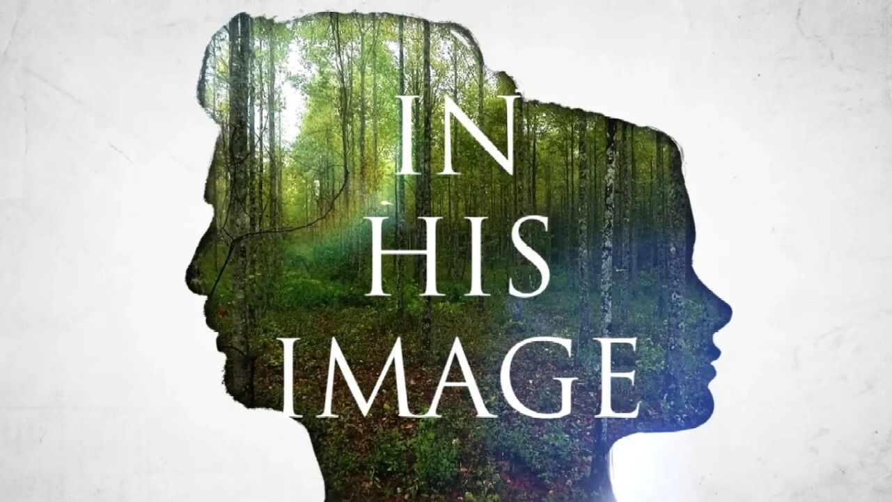 Backdrop for In His Image: Delighting in God's Plan for Gender and Sexuality