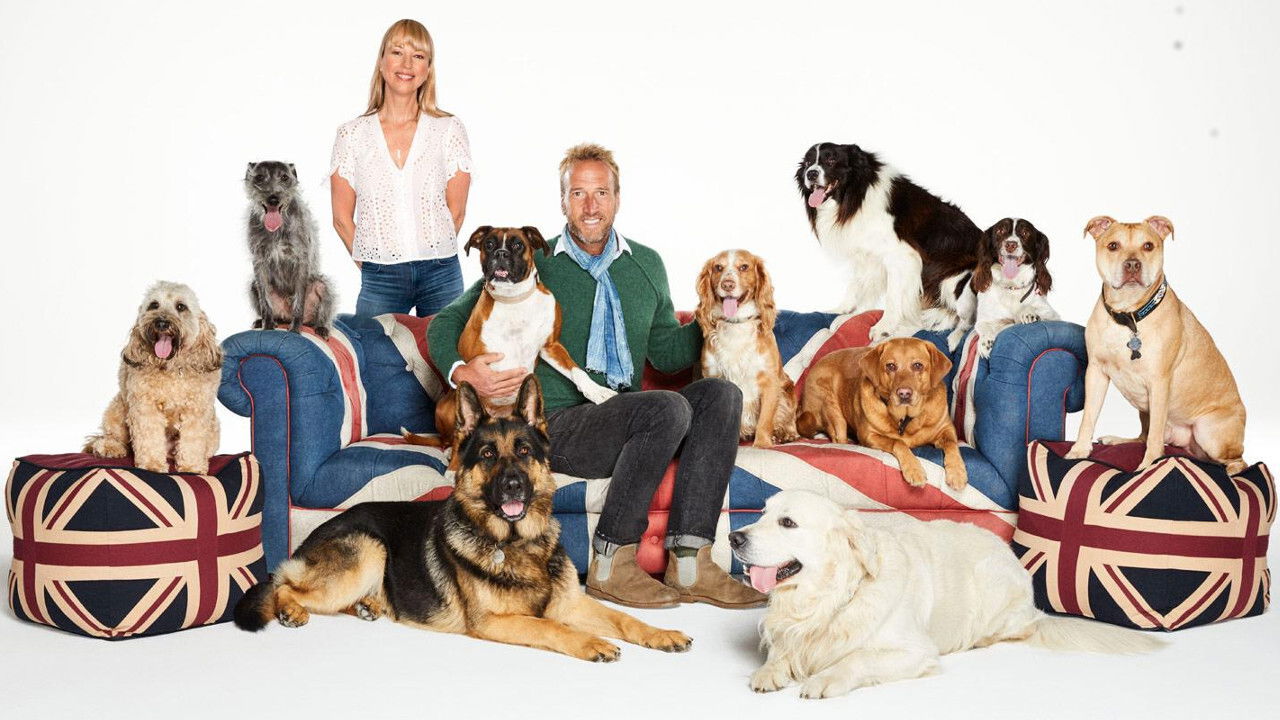 Backdrop for Britain's Favourite Dogs: Top 100