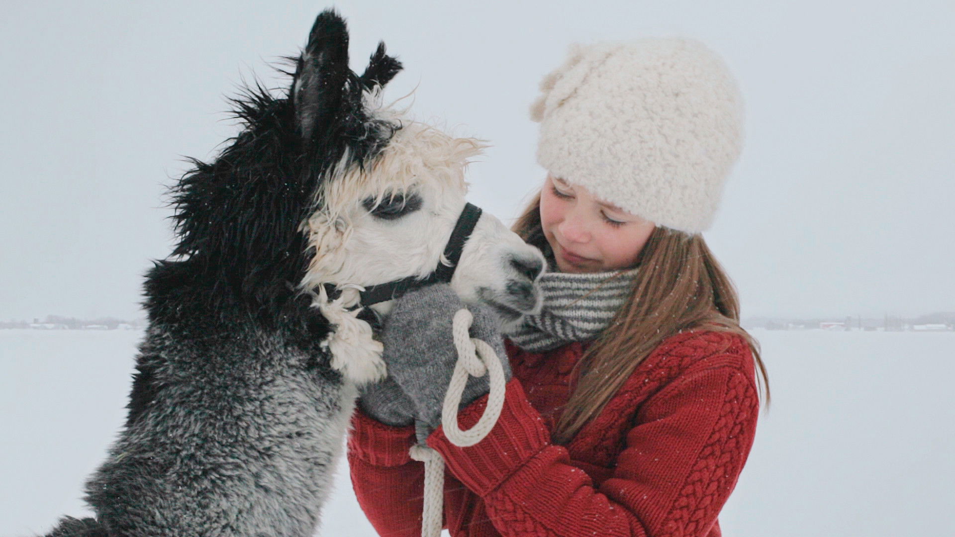 Backdrop for A Shade of Grey