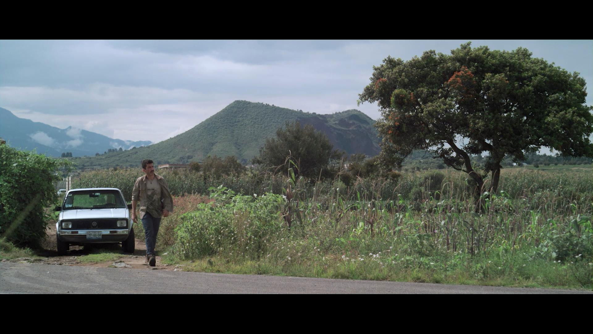 Backdrop for The Opposite Of Death