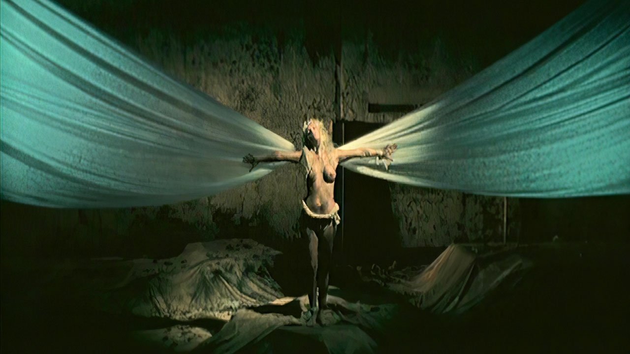 Backdrop for Death ...is just the beginning vol. VI