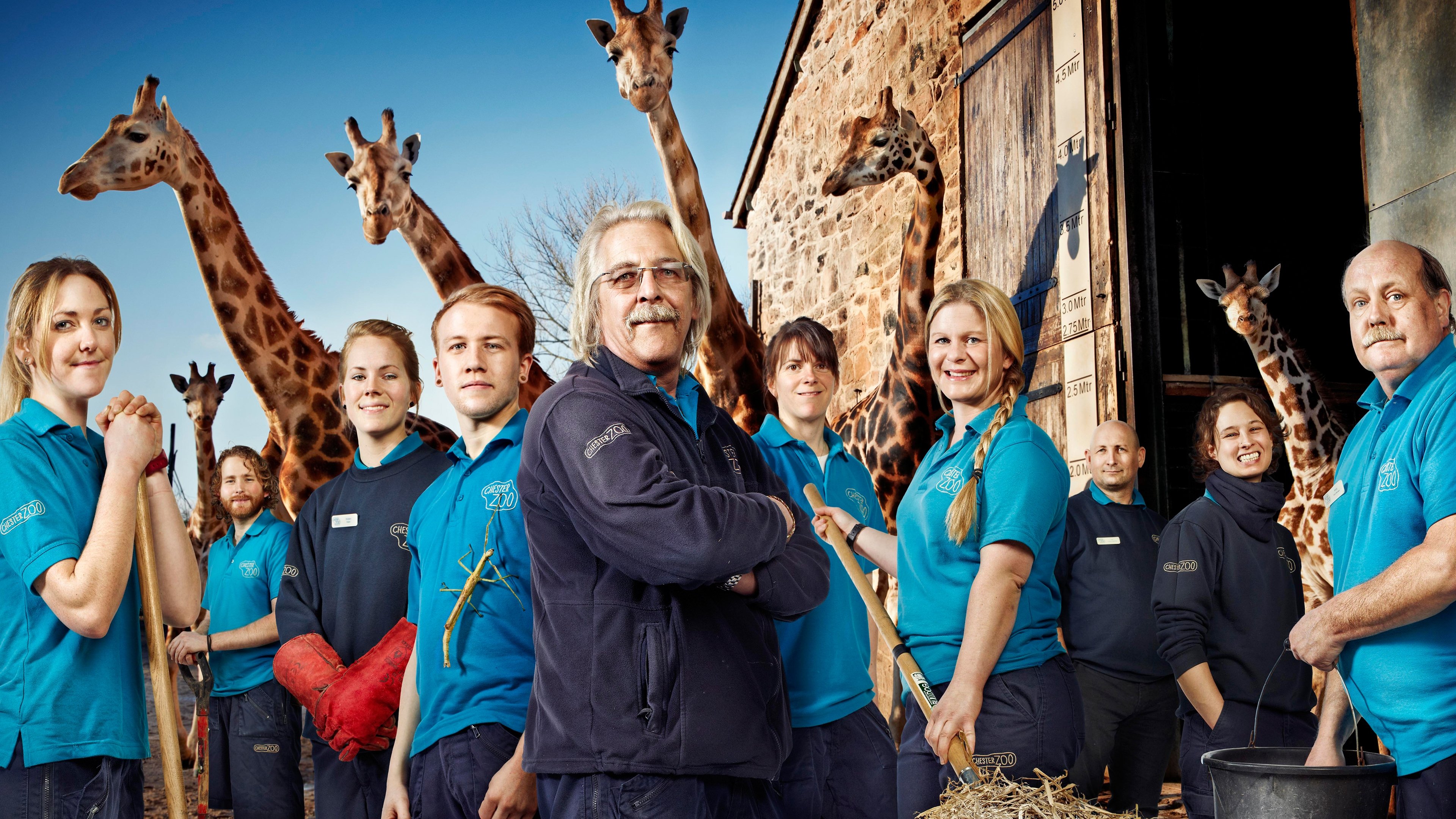 Backdrop for The Secret Life of the Zoo