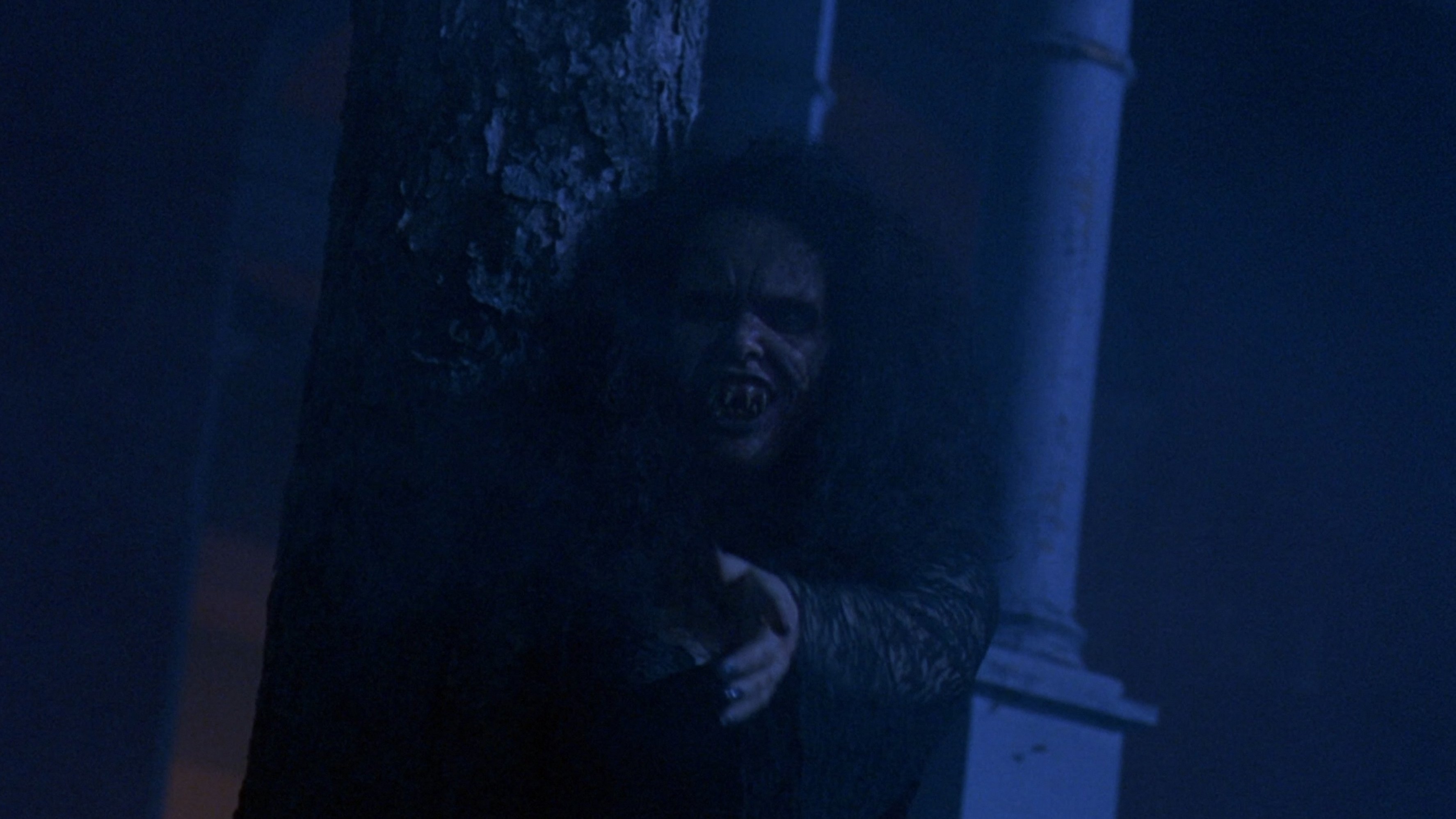 Backdrop for Night of the Demons III