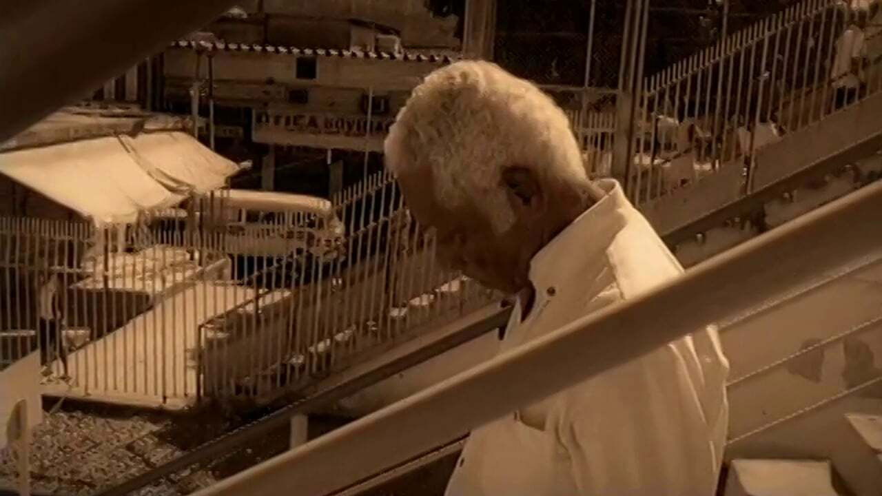 Backdrop for Geraldo José - O Som Sem Barreira