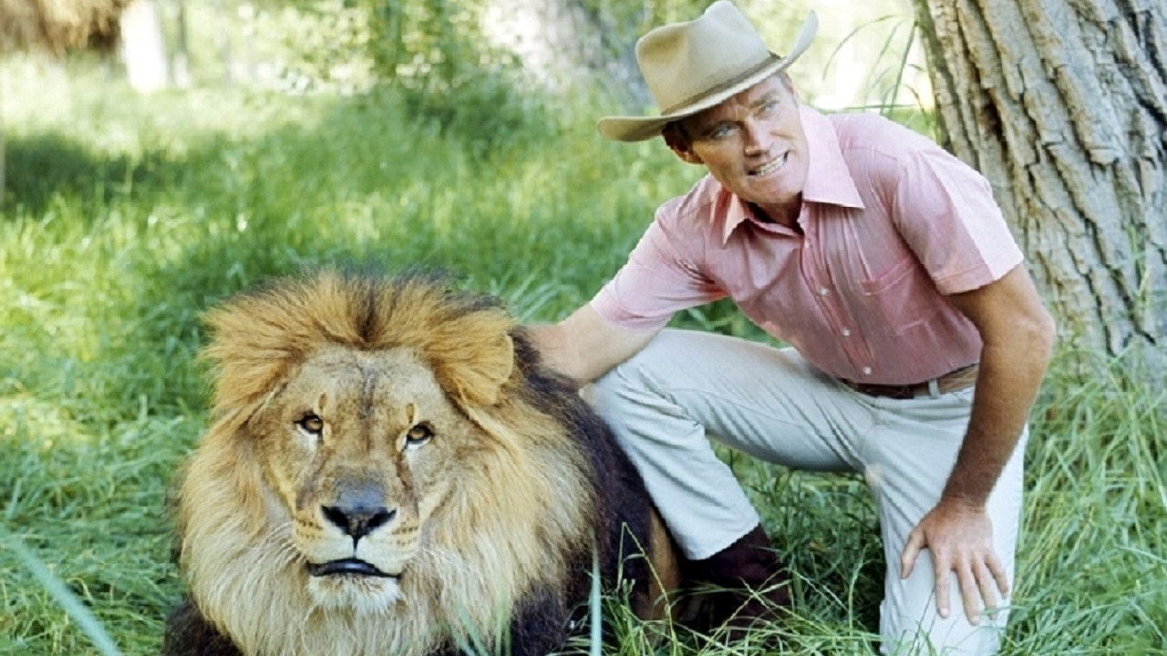 Backdrop for Cowboy in Africa