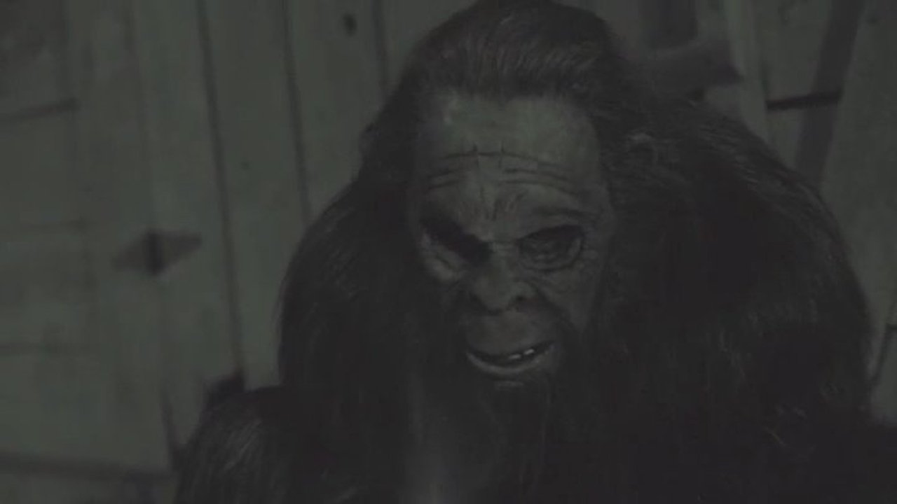 Backdrop for Something in the Woods