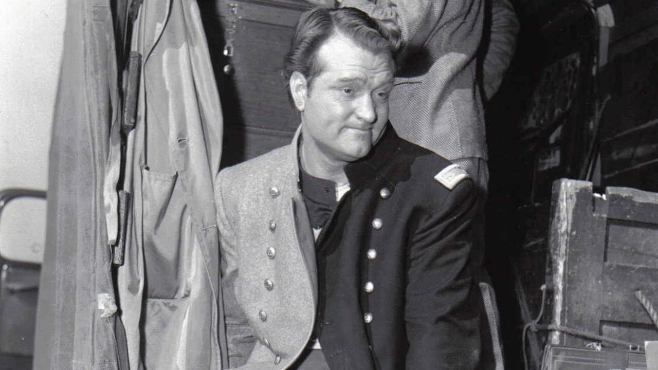 Backdrop for A Southern Yankee