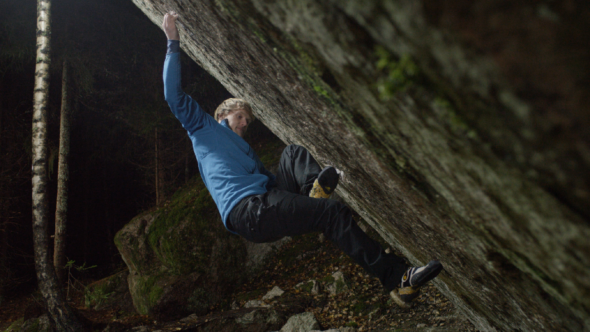 Backdrop for The Lappnor Project