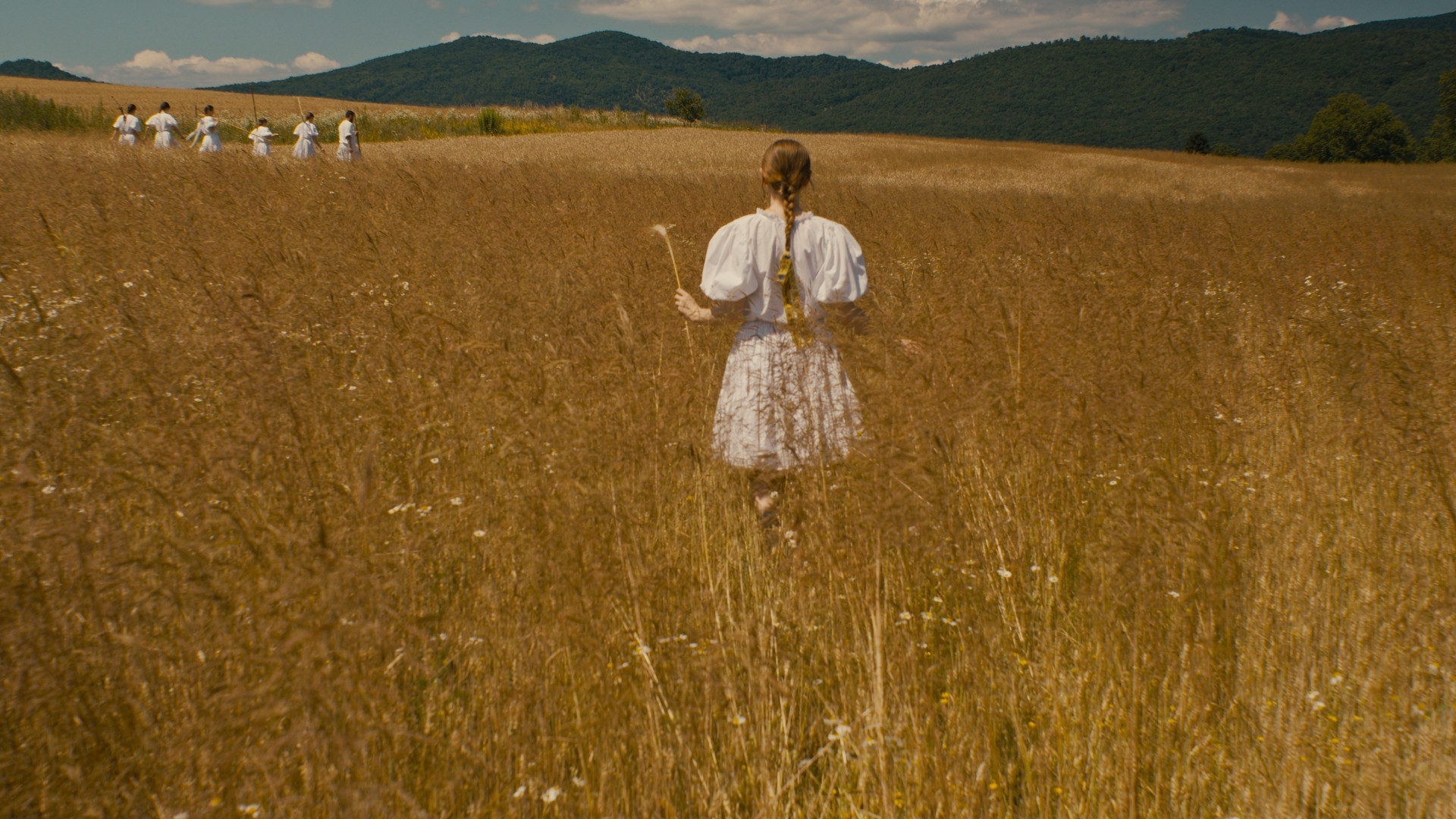 Backdrop for The Harvest