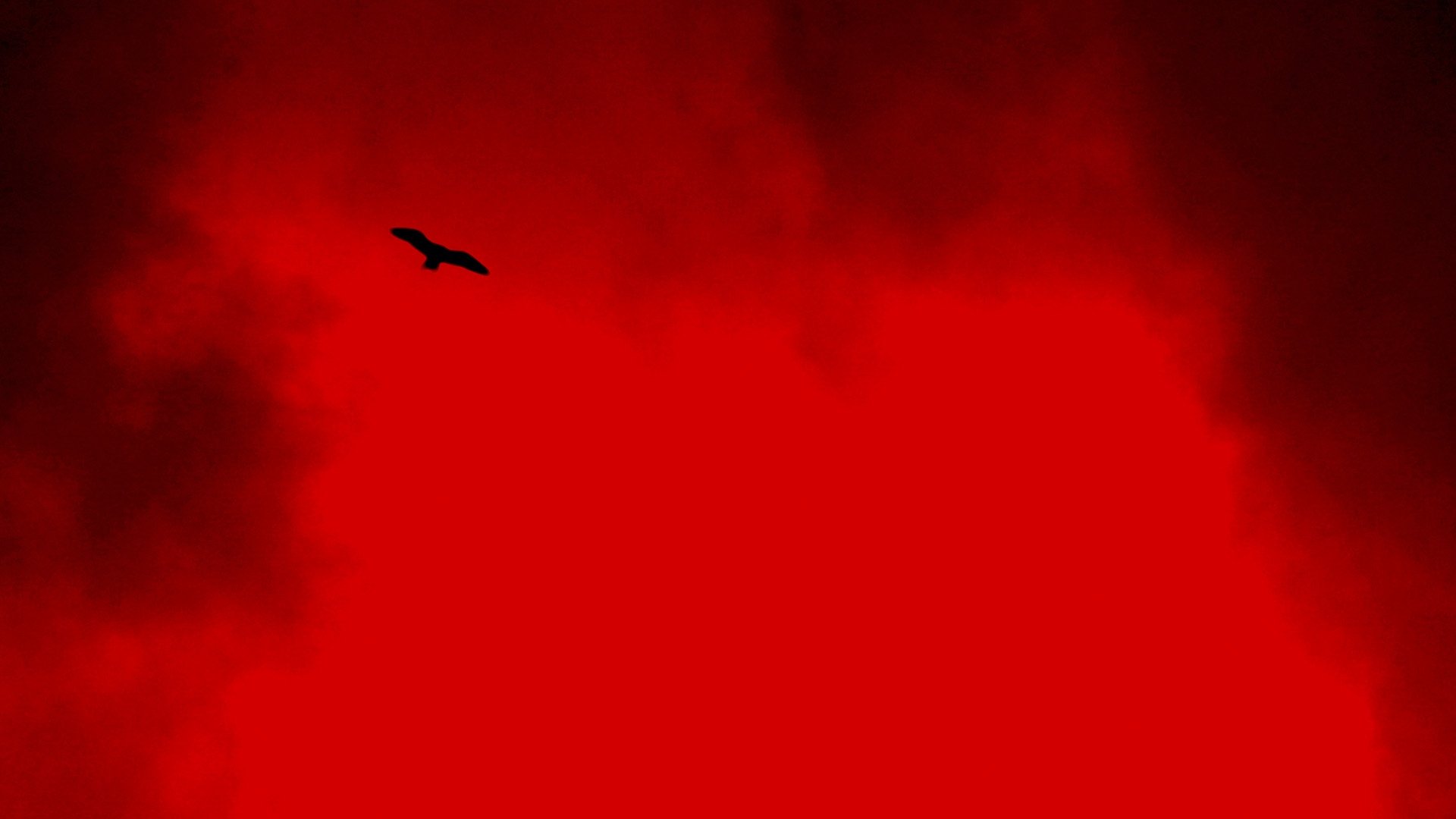 Backdrop for The White Death of the Black Wizard