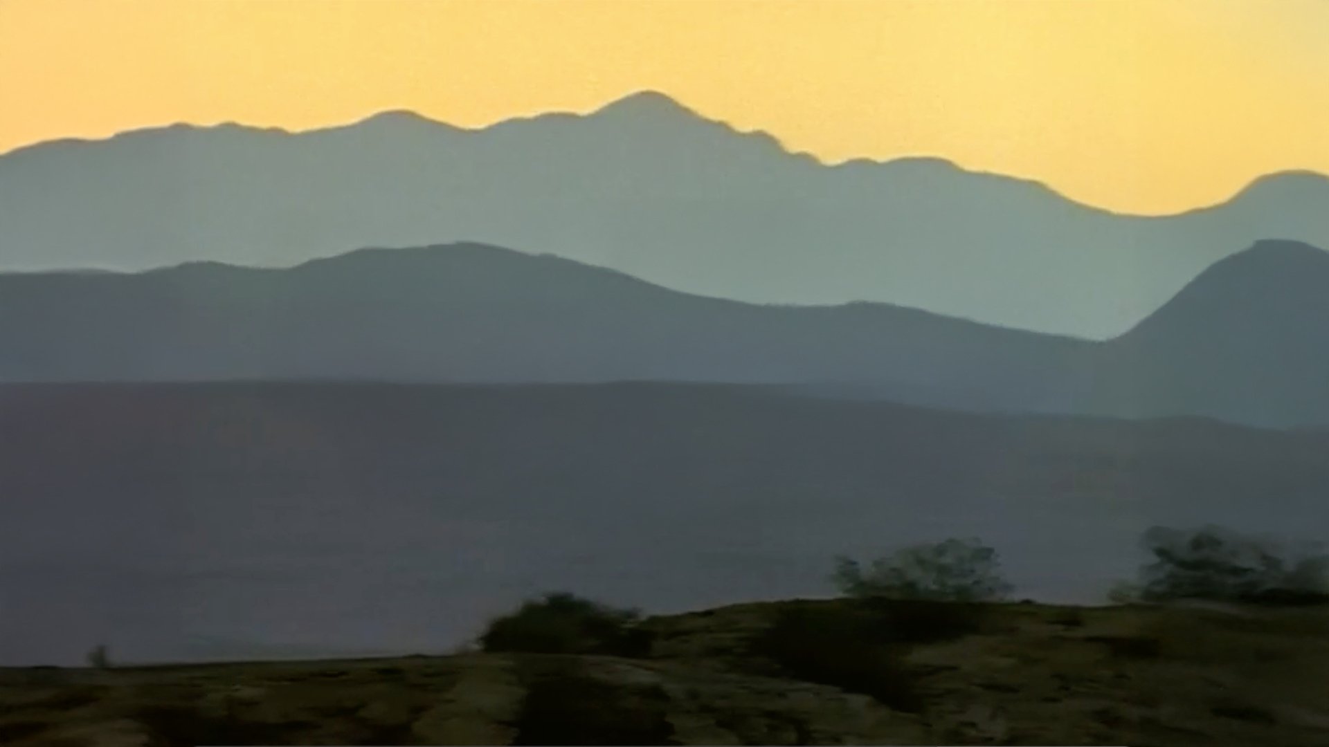 Backdrop for Dinosaurs Inside & Out