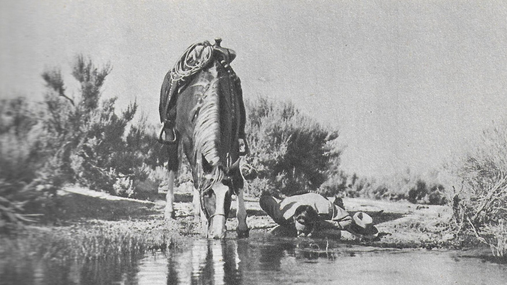 Backdrop for Texans Never Cry