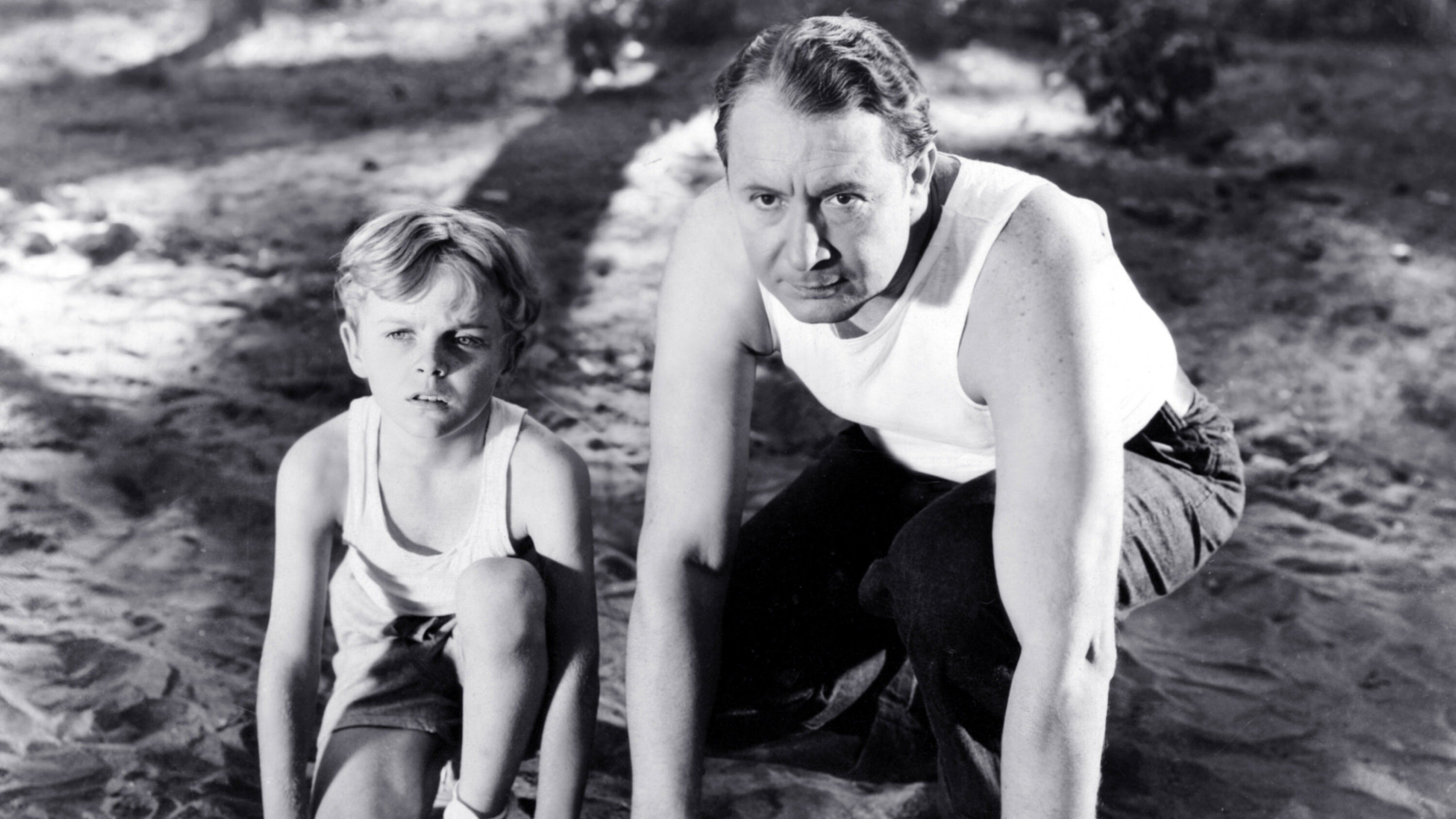 Backdrop for A Million to One