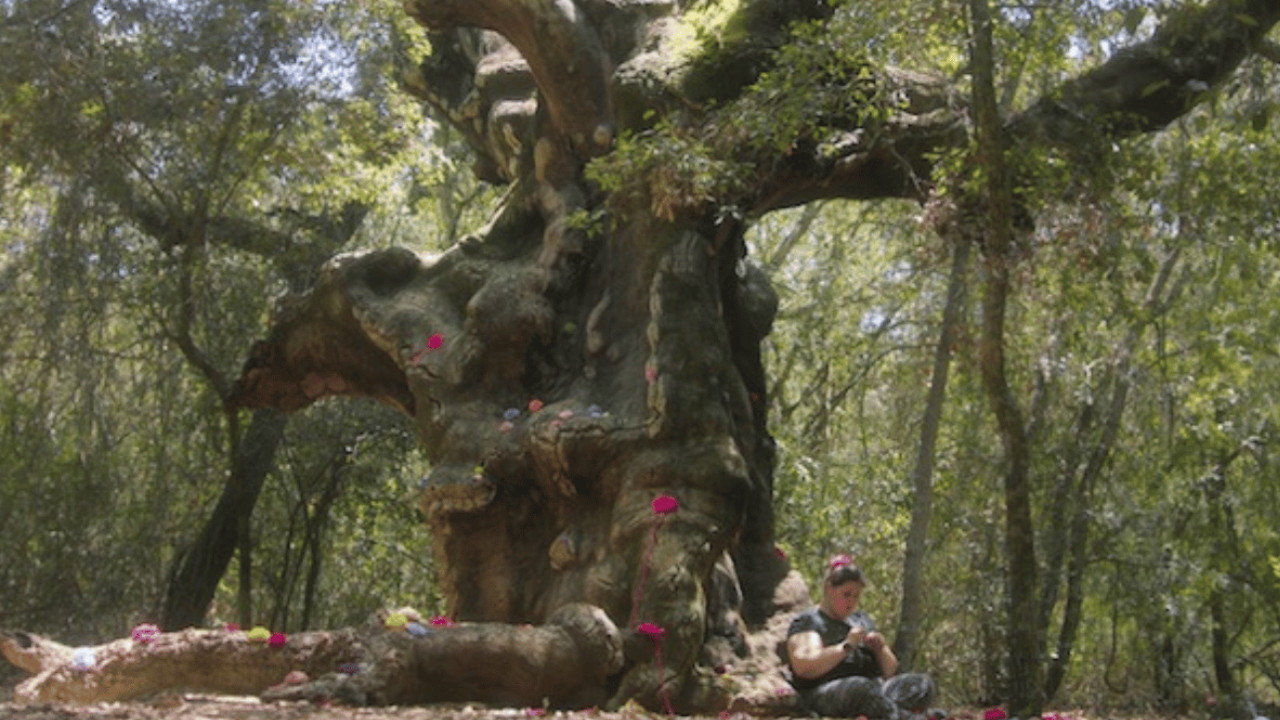 Backdrop for Valentina and the MUOSters