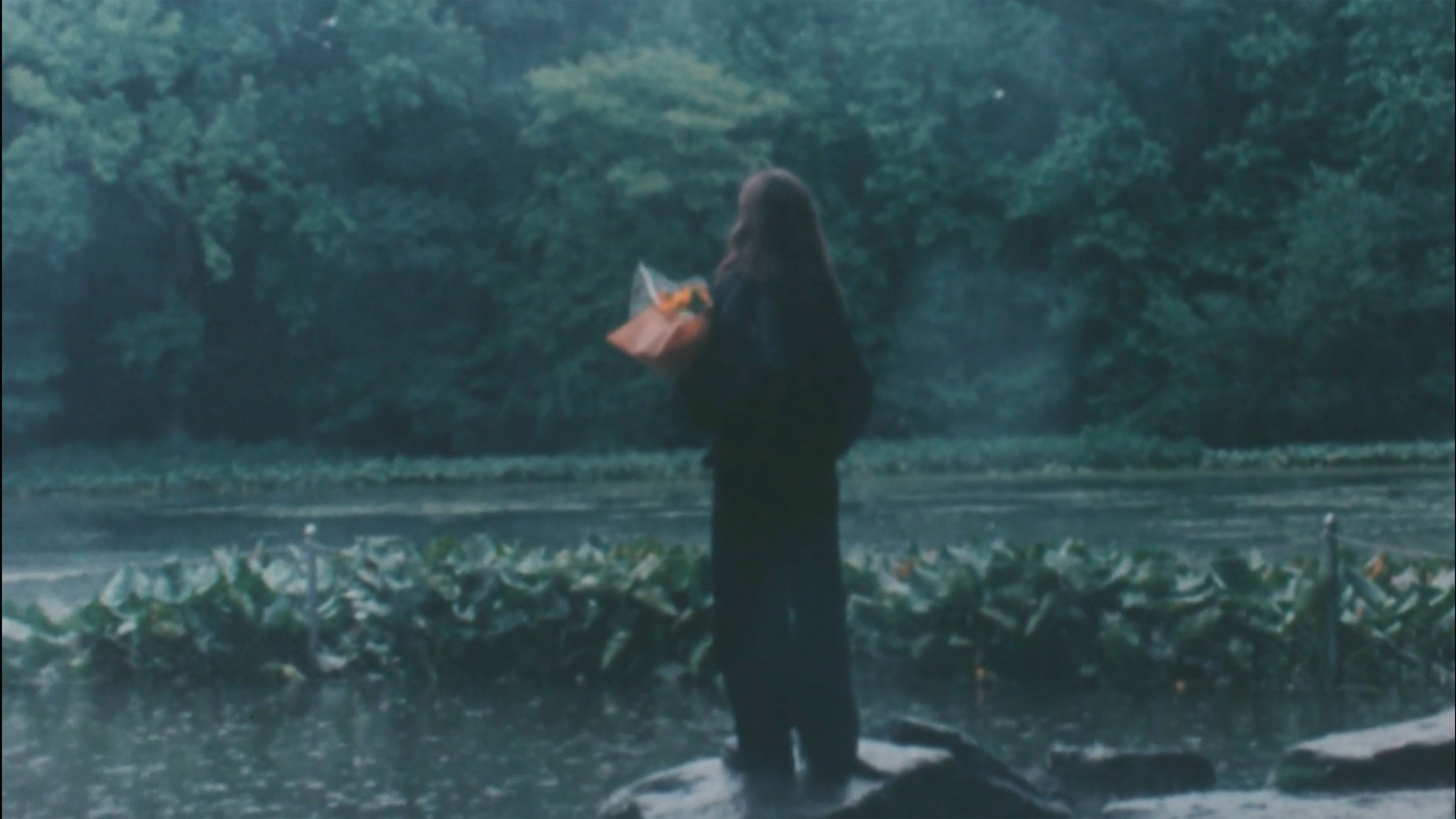 Backdrop for Cathedral