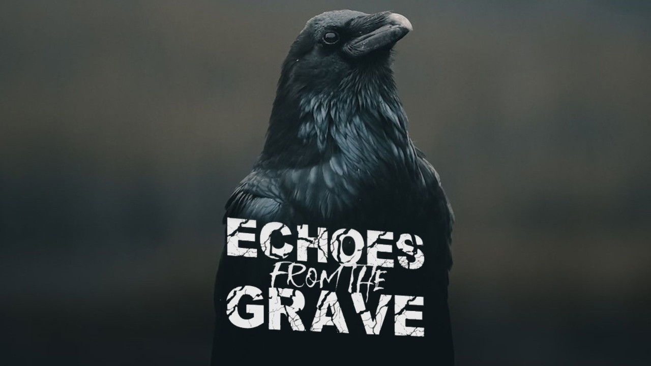 Backdrop for Echoes From The Grave