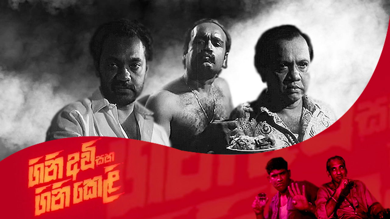 Backdrop for Firearms and Fireworks